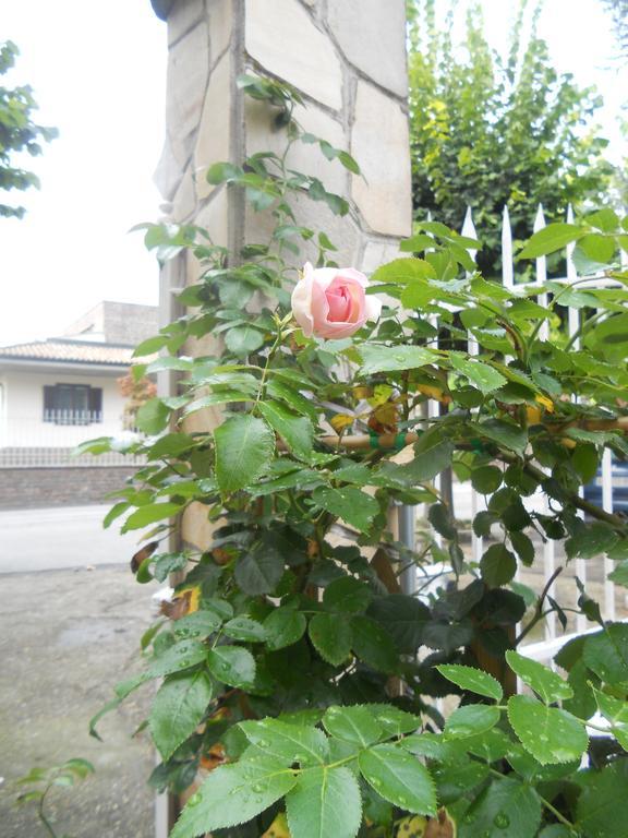 Beb Villa Aurora Carmagnola Dış mekan fotoğraf